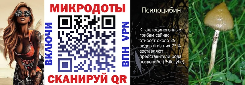 Псилоцибиновые грибы GOLDEN TEACHER Билибино